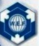 wef web logo (2)